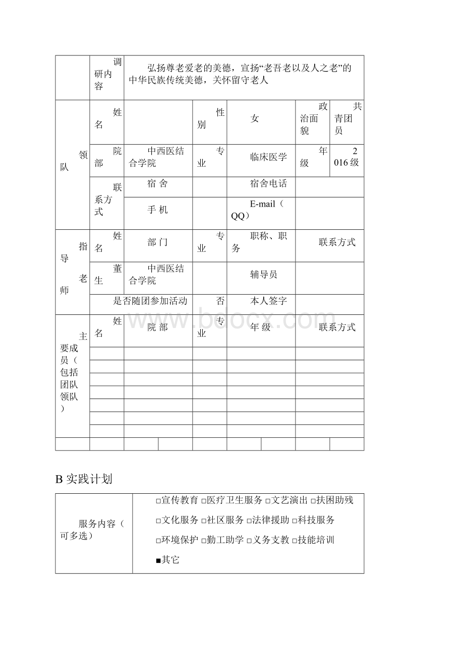 社会实践申报表格模板Word文档格式.docx_第3页