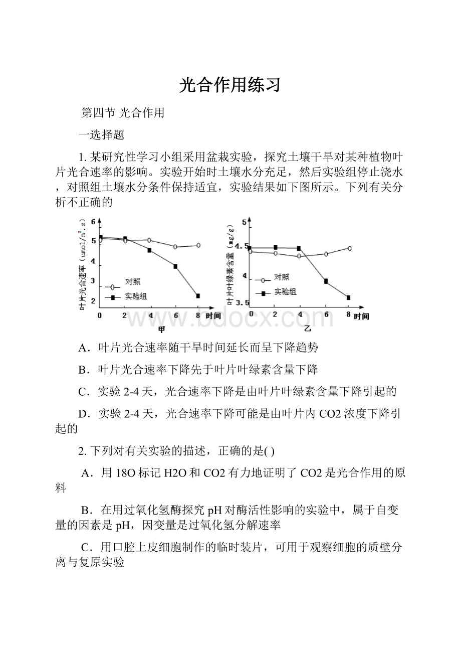 光合作用练习.docx_第1页