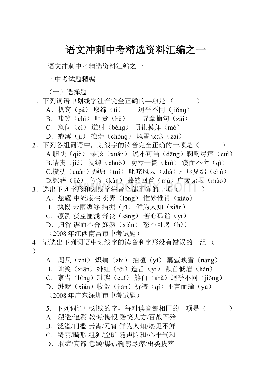 语文冲刺中考精选资料汇编之一.docx