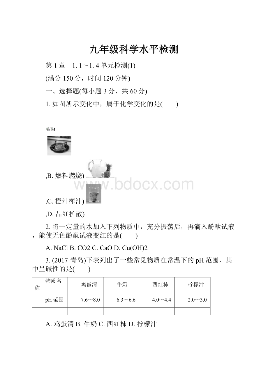 九年级科学水平检测.docx_第1页