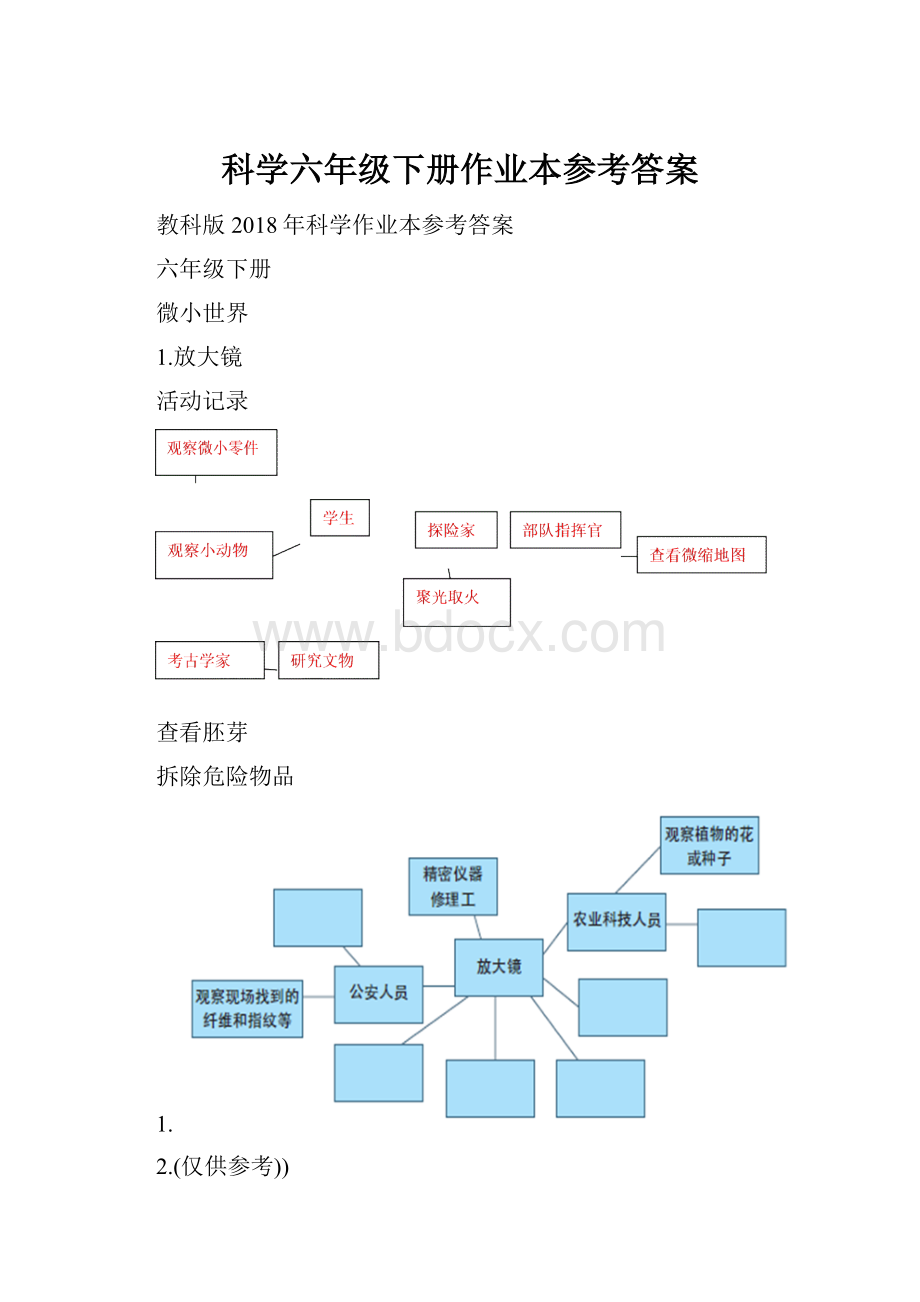 科学六年级下册作业本参考答案Word格式.docx