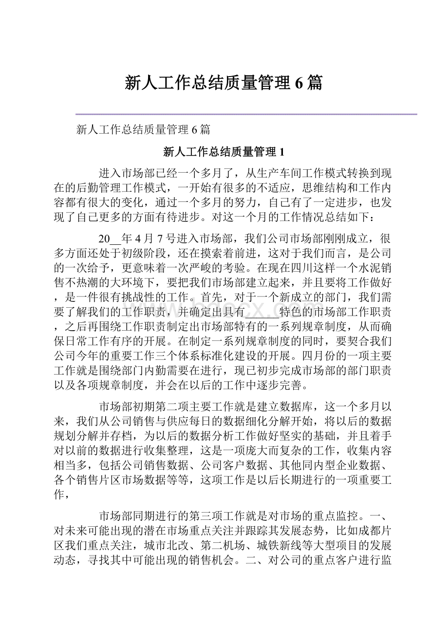 新人工作总结质量管理6篇.docx