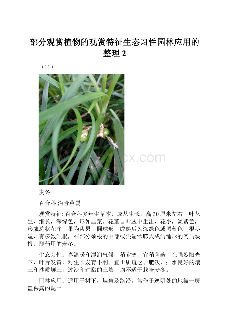 部分观赏植物的观赏特征生态习性园林应用的整理2Word文档下载推荐.docx_第1页