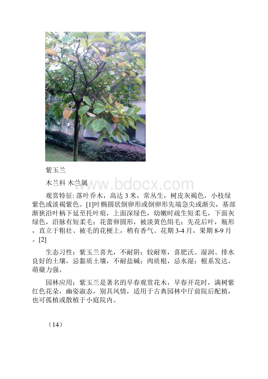 部分观赏植物的观赏特征生态习性园林应用的整理2Word文档下载推荐.docx_第3页