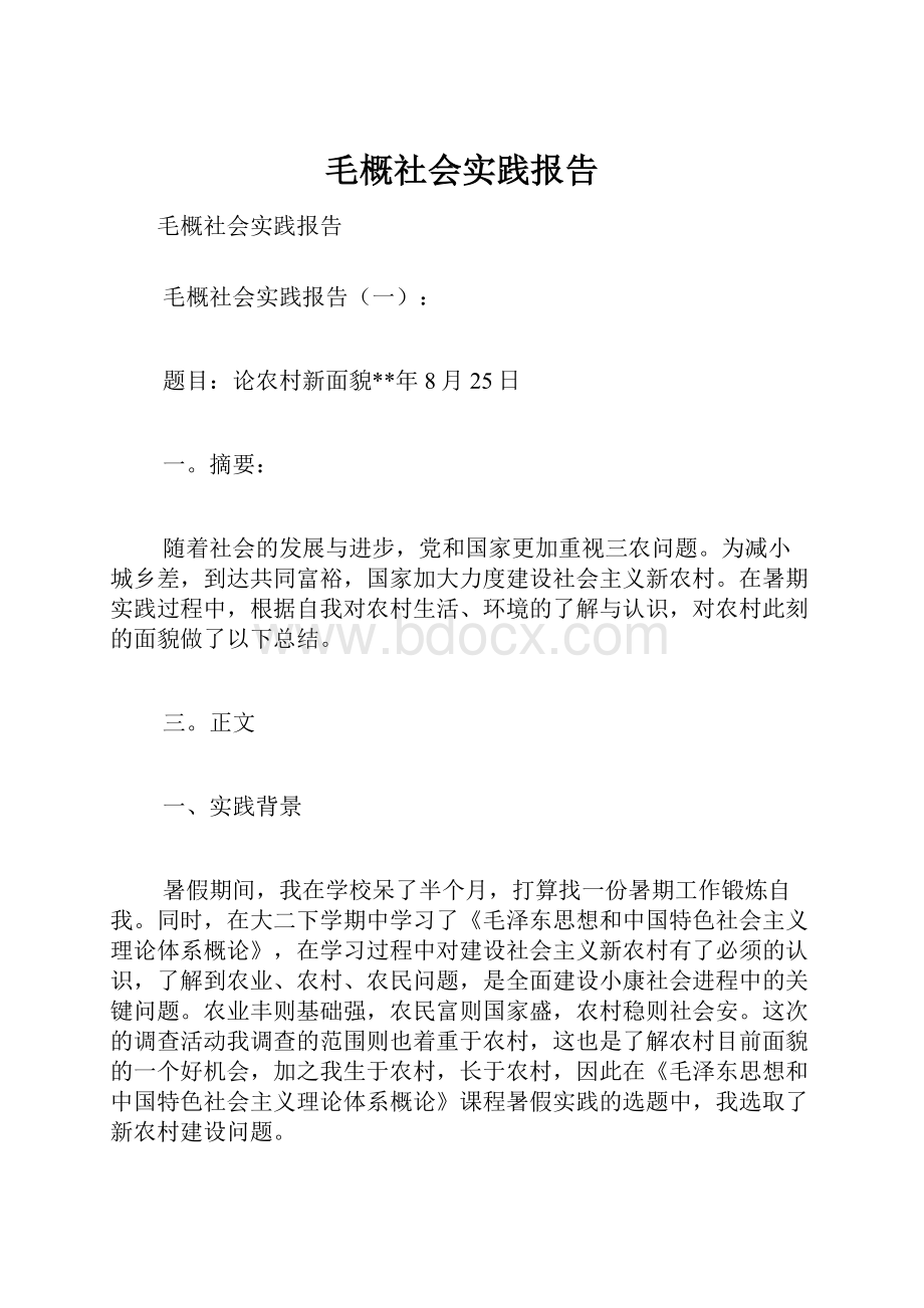 毛概社会实践报告Word格式文档下载.docx