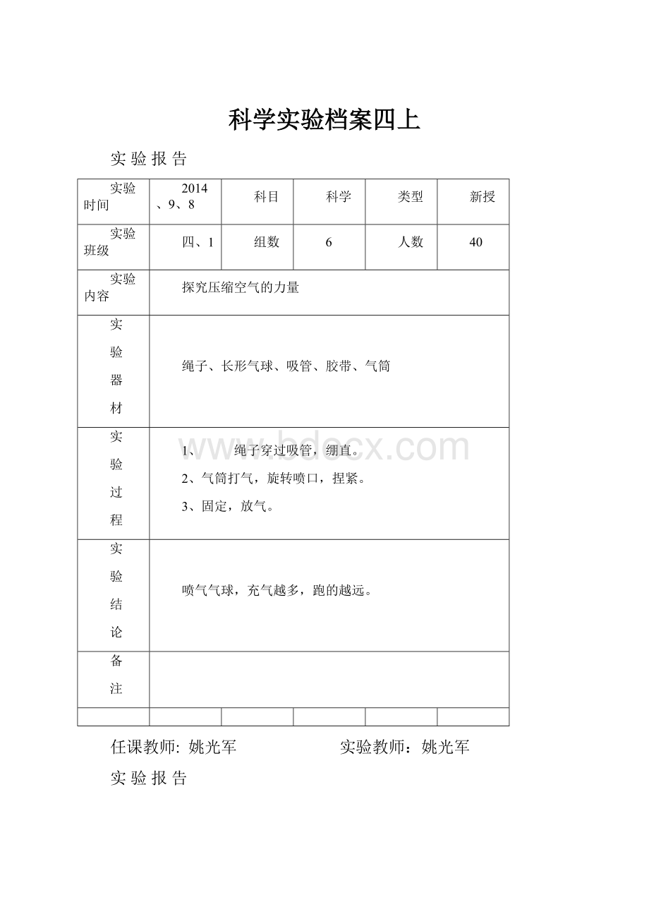 科学实验档案四上Word文档下载推荐.docx