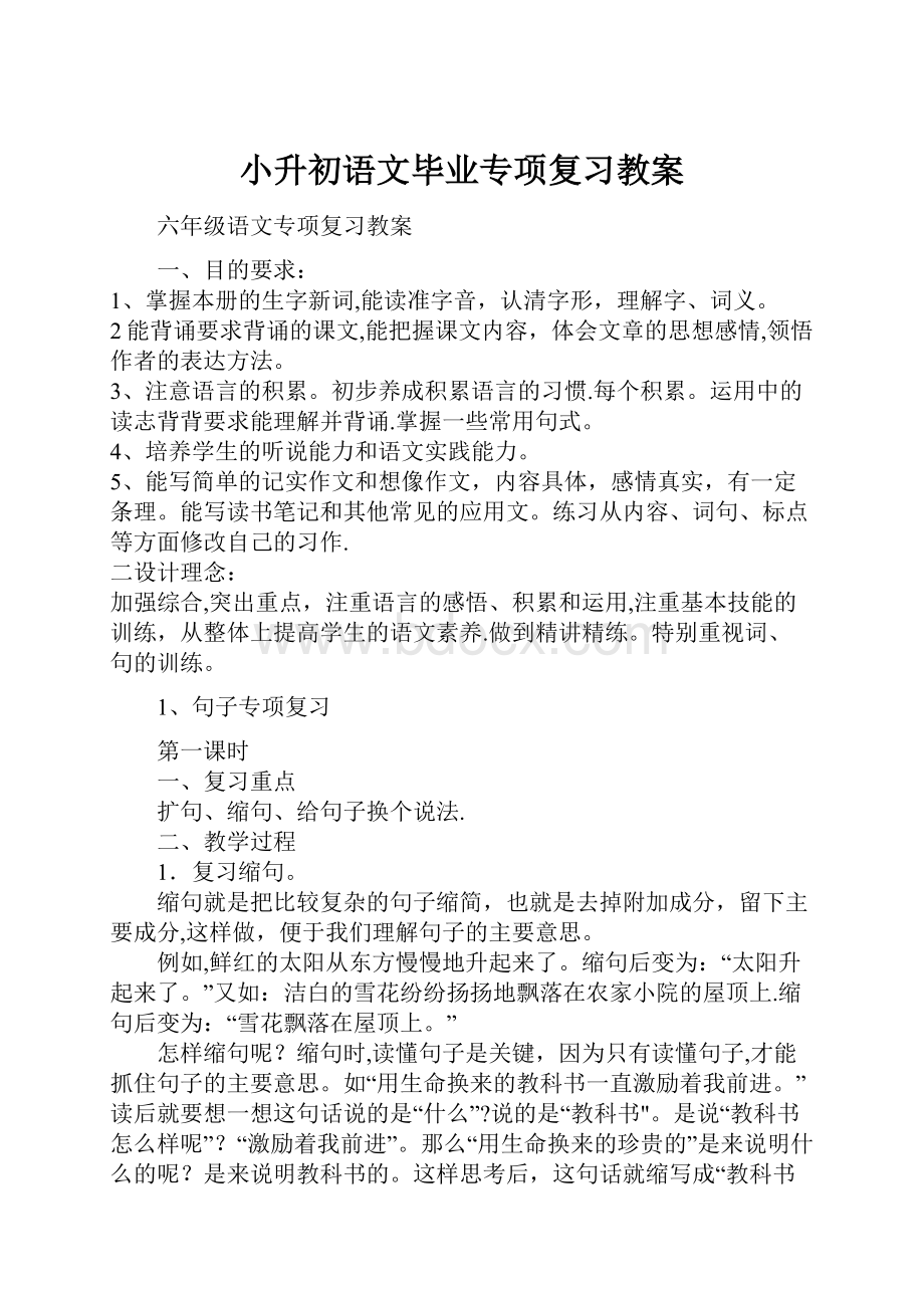 小升初语文毕业专项复习教案Word下载.docx