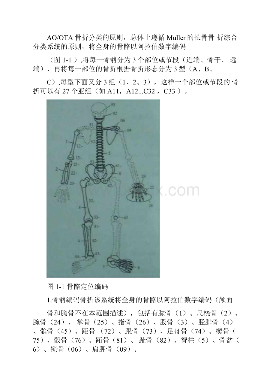 骨折的AO分型.docx_第2页