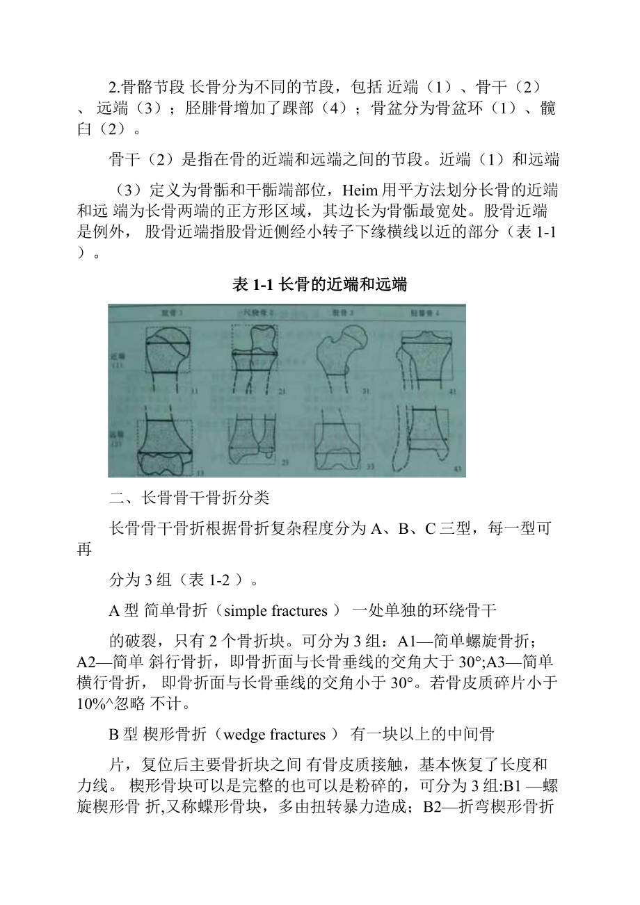 骨折的AO分型.docx_第3页