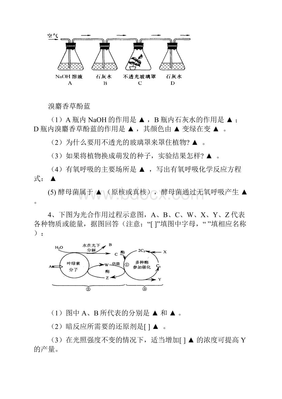 高一年级上学期生物学期末考试之基本题型19.docx_第3页