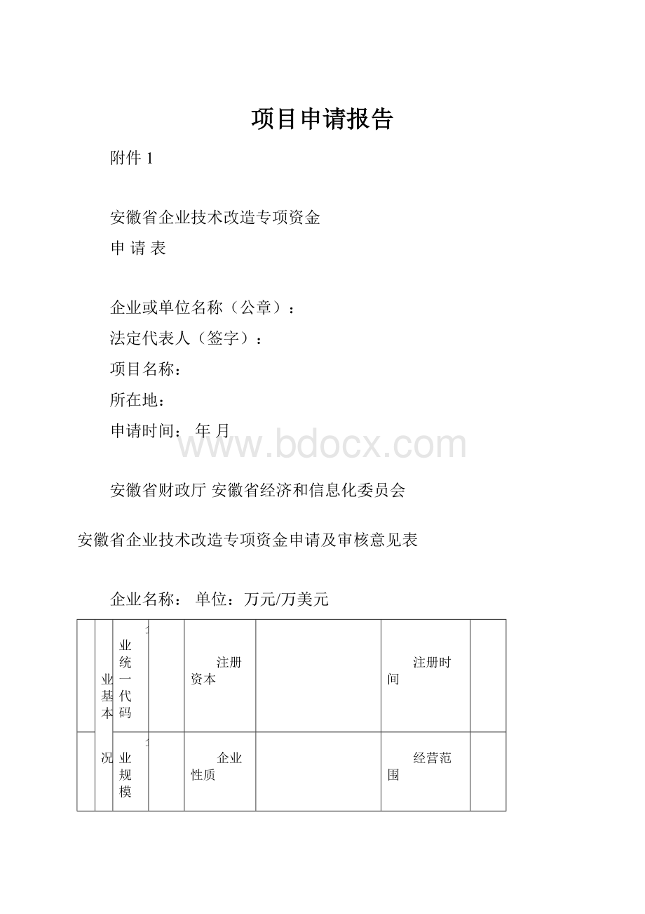 项目申请报告.docx