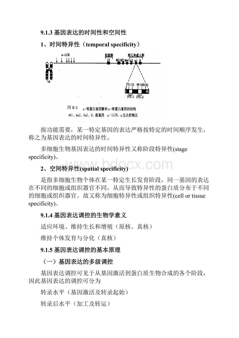 原核生物基因表达的调控.docx_第3页