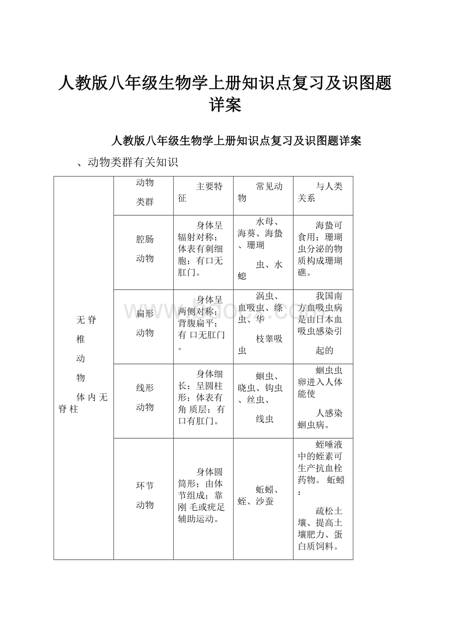 人教版八年级生物学上册知识点复习及识图题详案Word文档下载推荐.docx