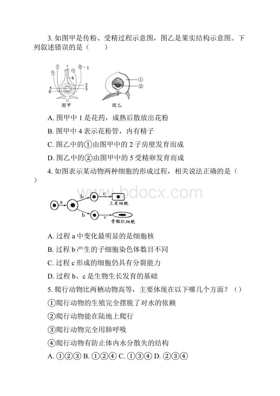 山东省青岛市城阳十三中八年级中考生物阶段检测卷无答案文档格式.docx_第2页