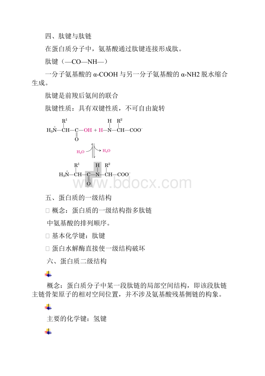 第一节 蛋白质的结构与功能1.docx_第2页