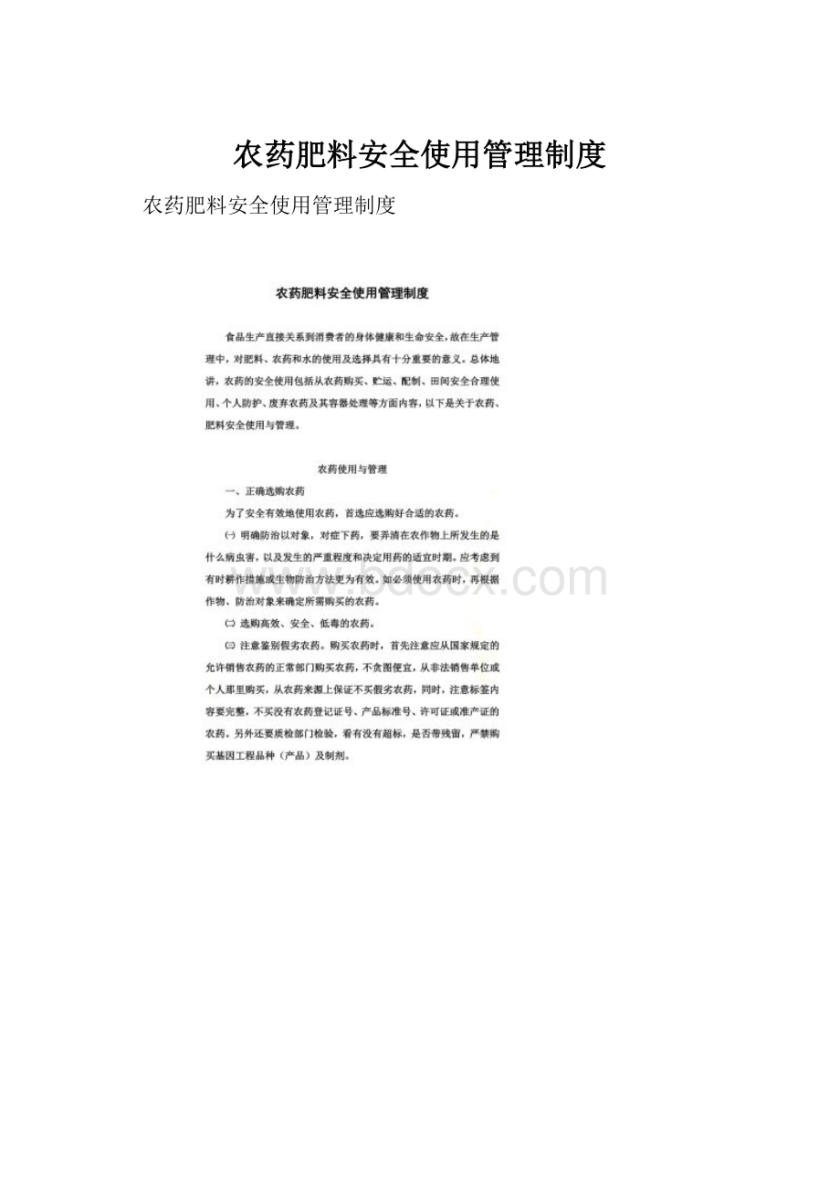 农药肥料安全使用管理制度Word格式.docx