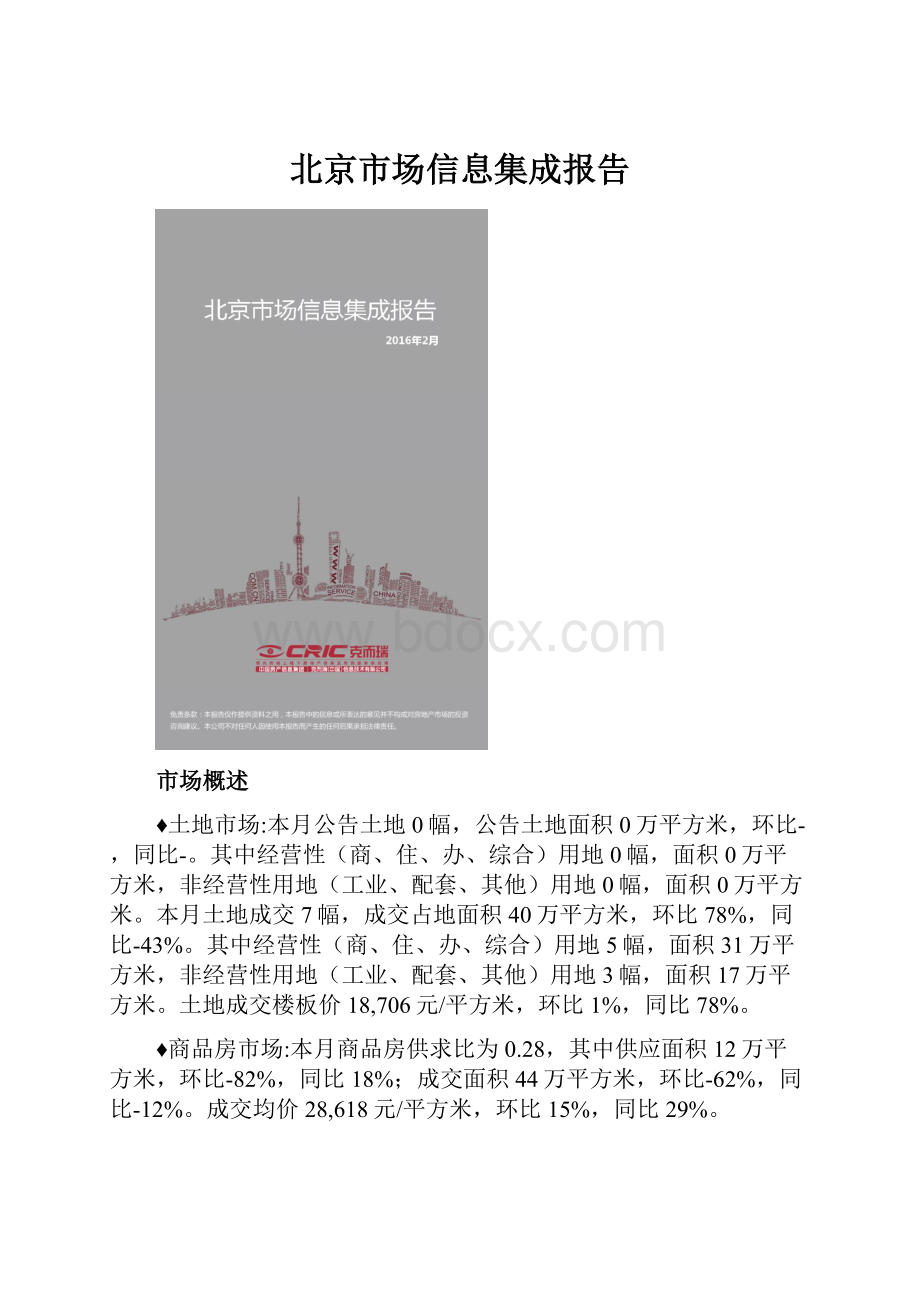 北京市场信息集成报告.docx_第1页