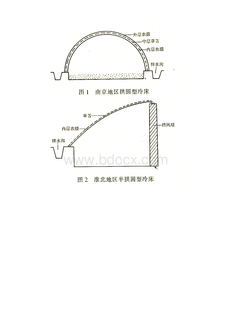 樱桃番茄基本栽培技术.docx_第2页