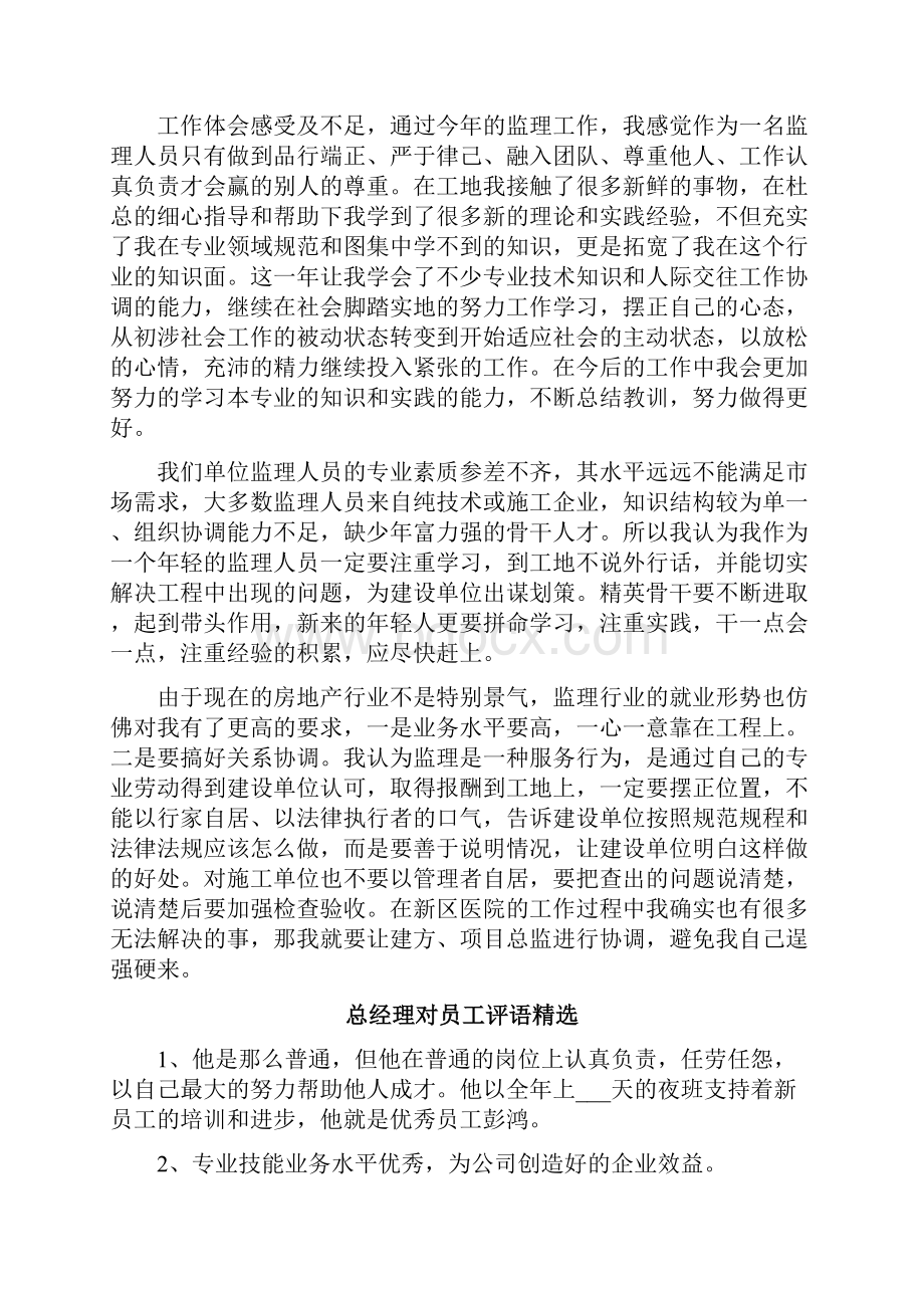 总监理工程师自我评价.docx_第2页