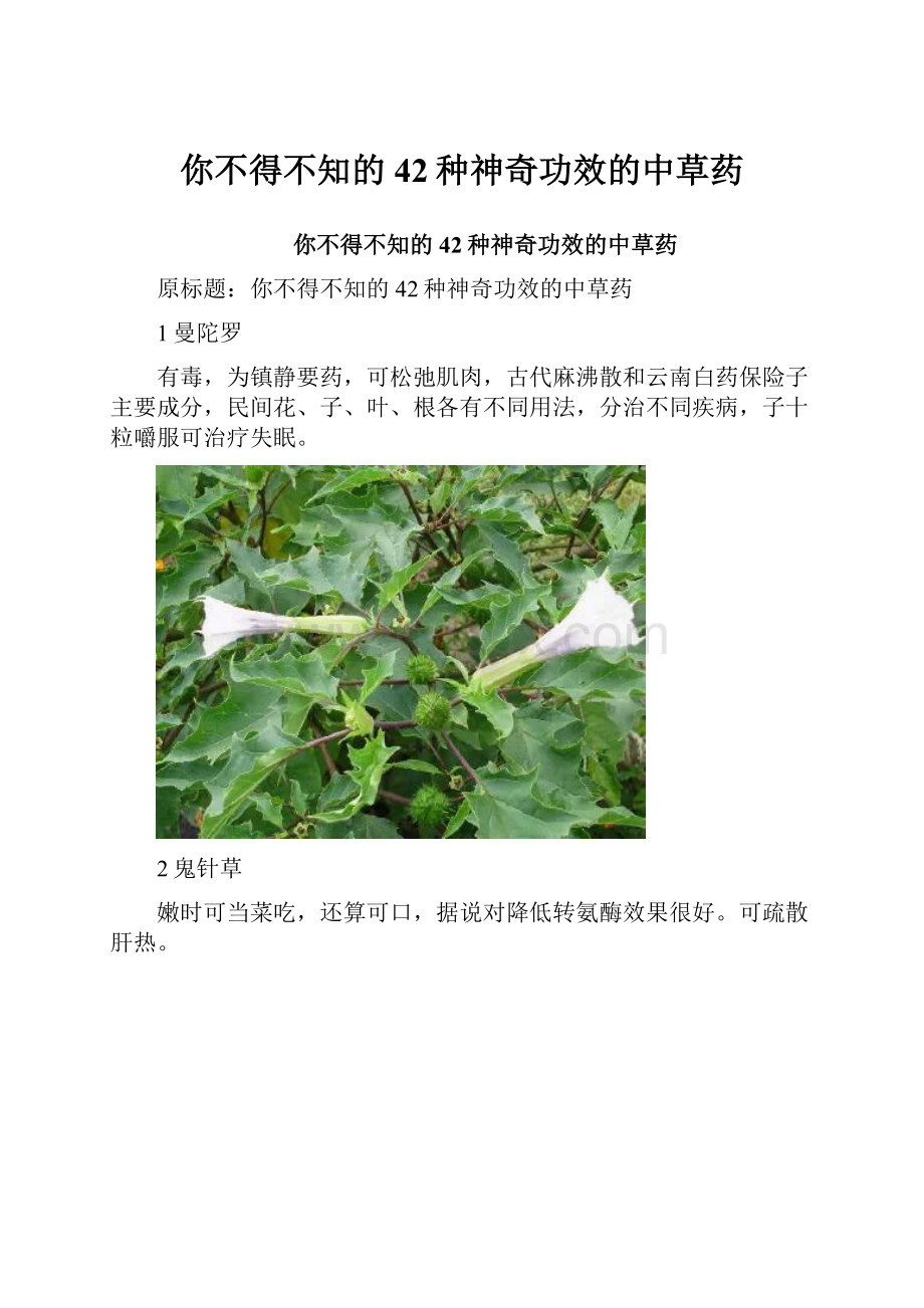 你不得不知的42种神奇功效的中草药.docx