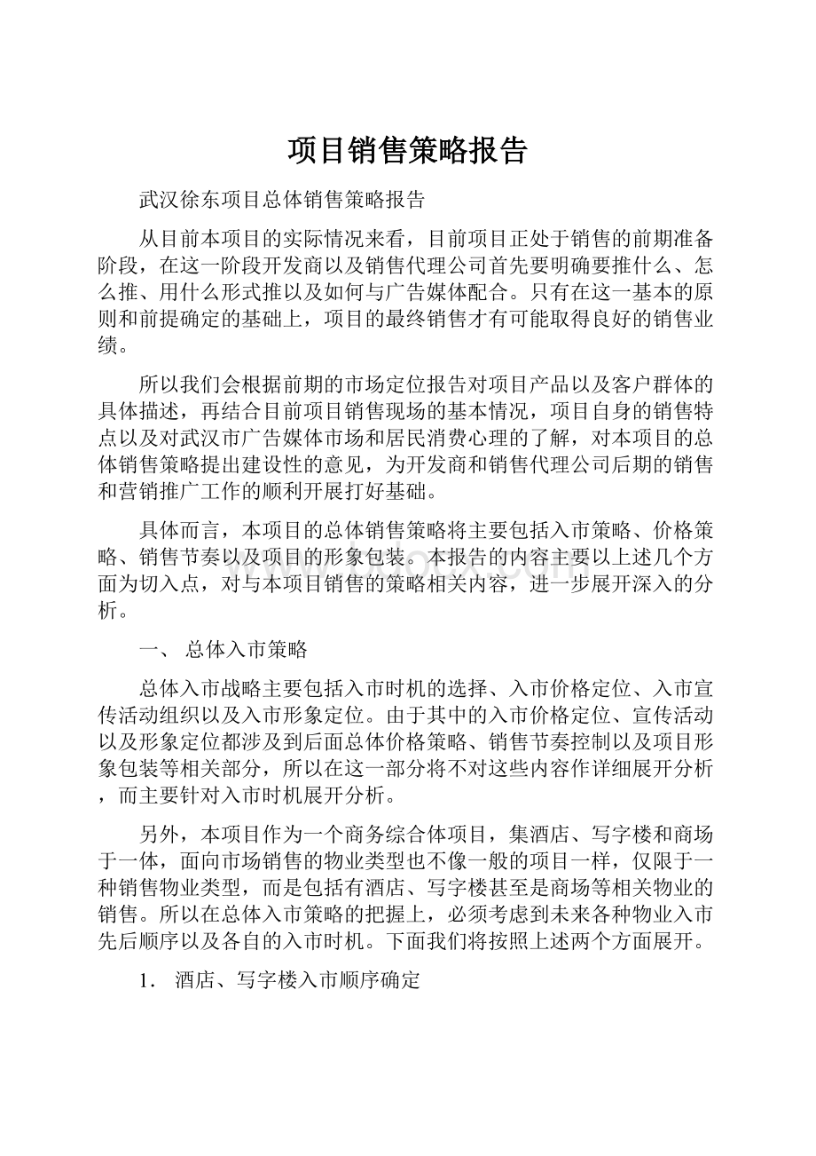 项目销售策略报告.docx