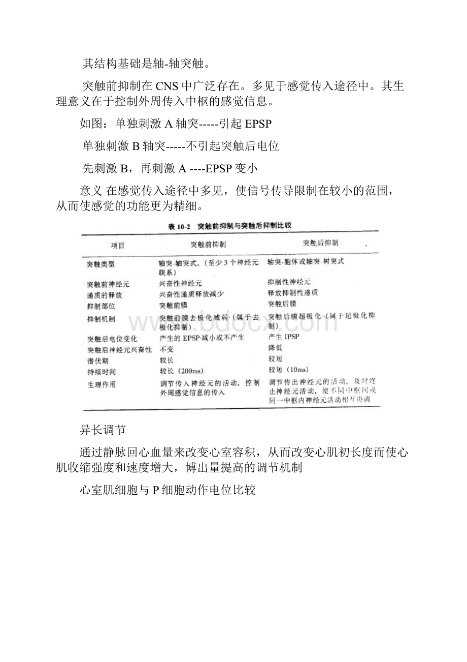 北大医学院生理知识汇总.docx_第2页