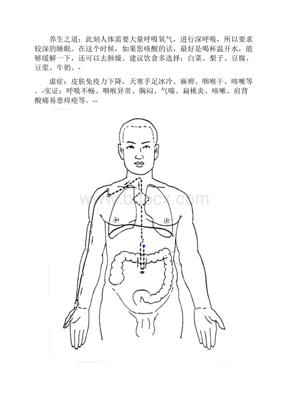 12经络走向图汇总.docx_第2页