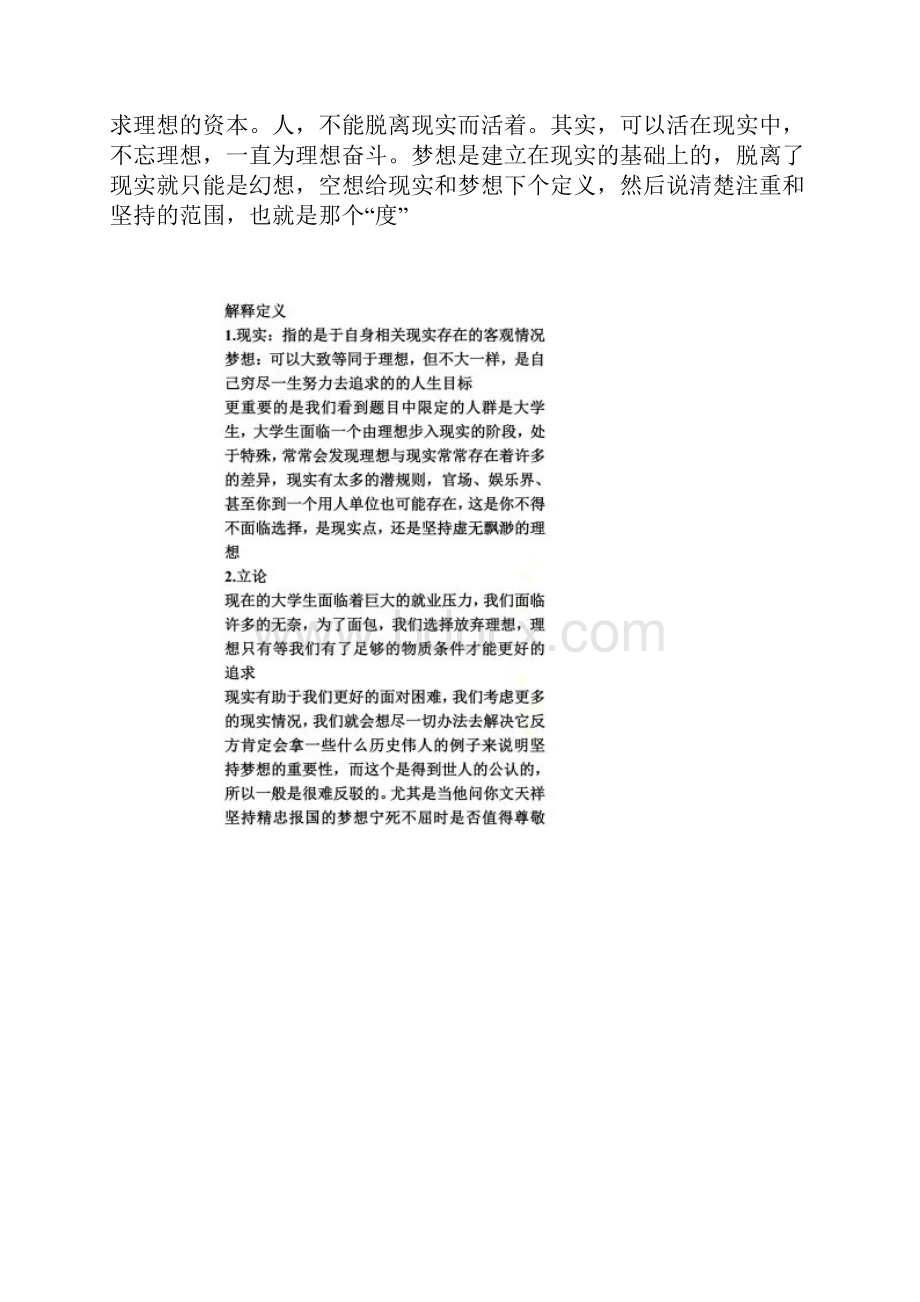 辩论理想与现实Word文档格式.docx_第2页