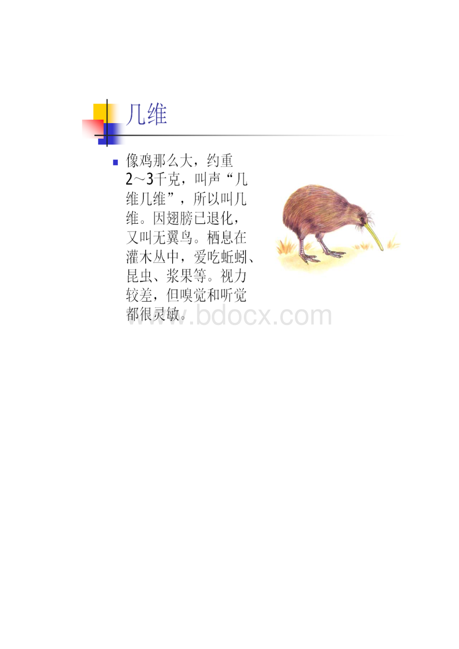 编辑常见鸟类图谱打印版1.docx_第2页