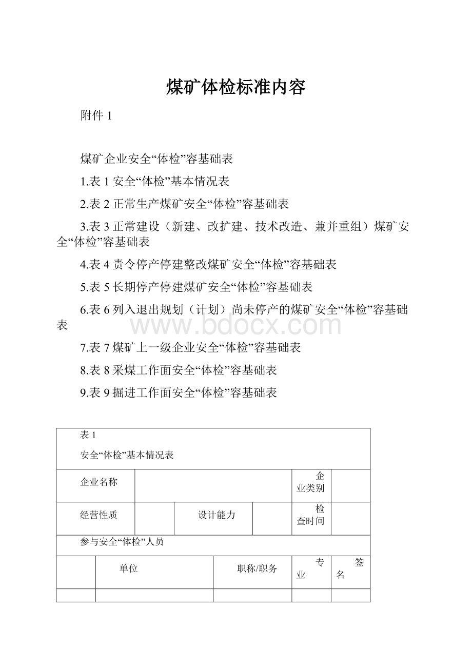 煤矿体检标准内容Word文档格式.docx