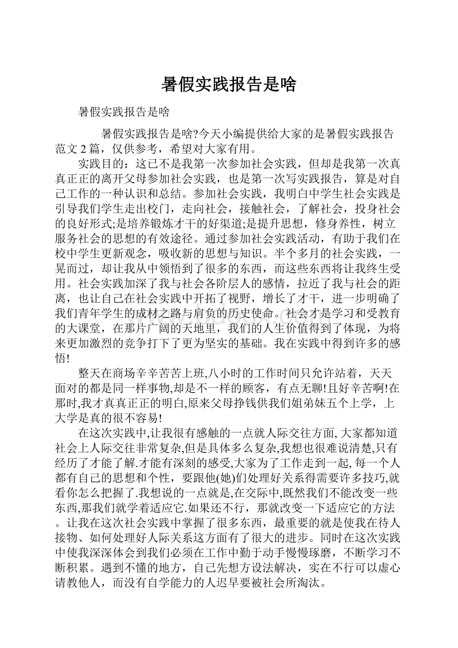 暑假实践报告是啥Word格式.docx