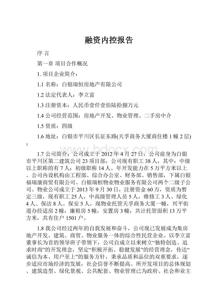 融资内控报告.docx