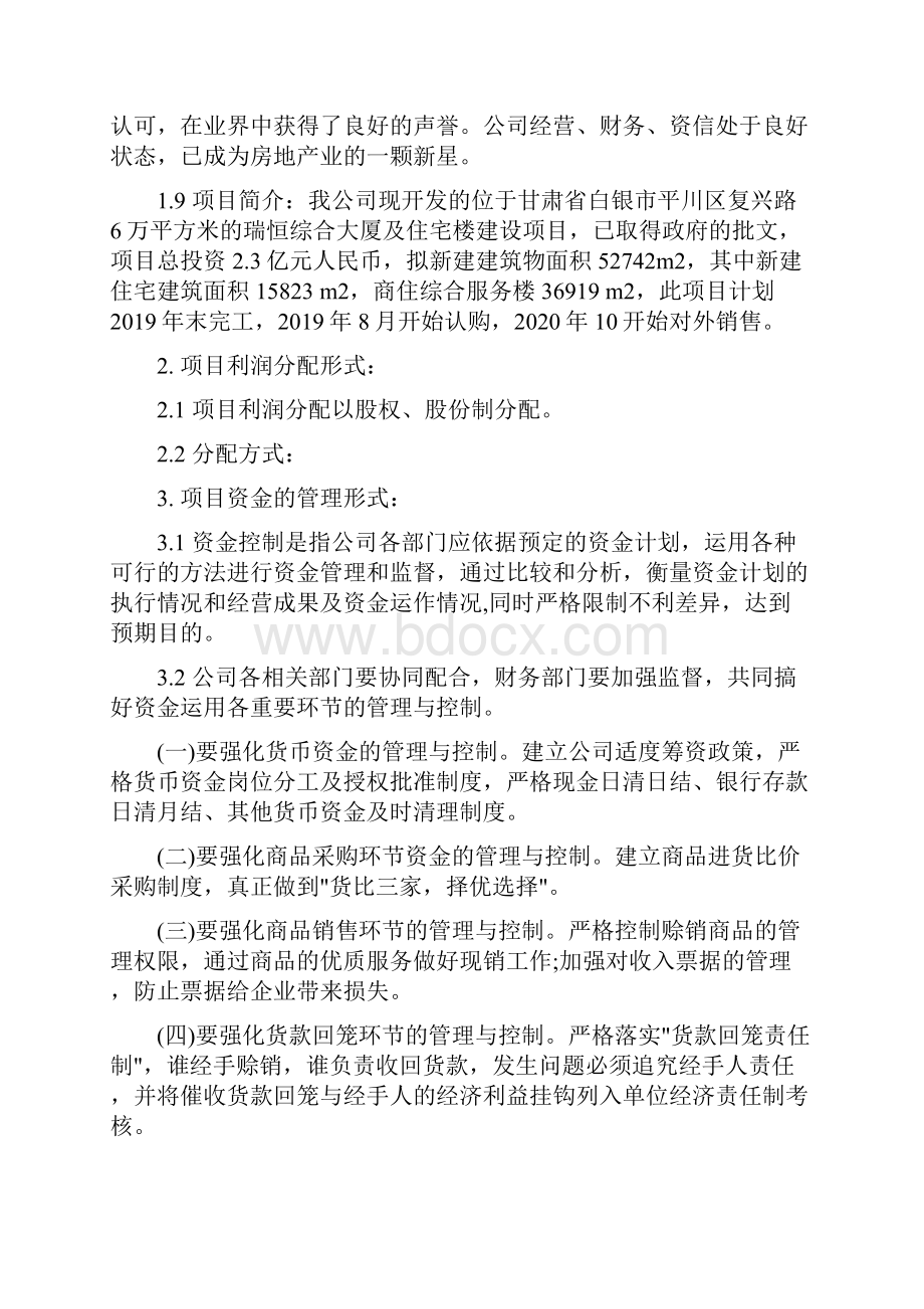 融资内控报告.docx_第2页