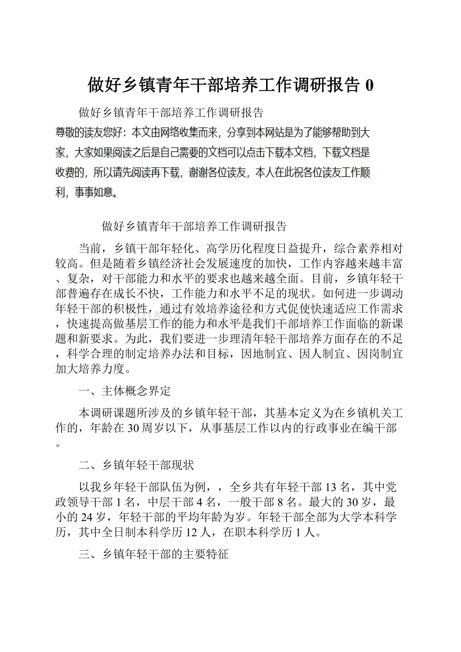 做好乡镇青年干部培养工作调研报告0Word下载.docx