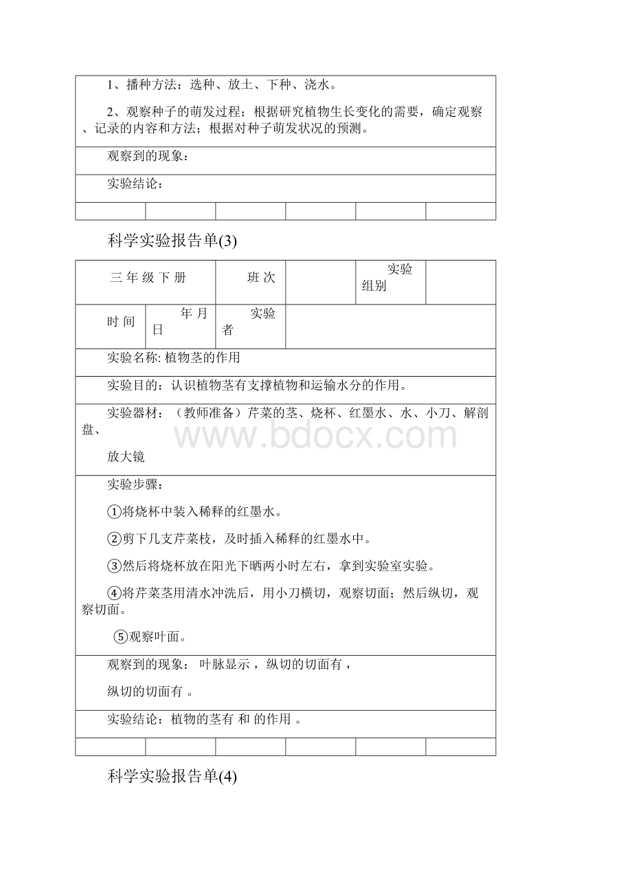 三年级下册科学实验的报告单.docx_第2页