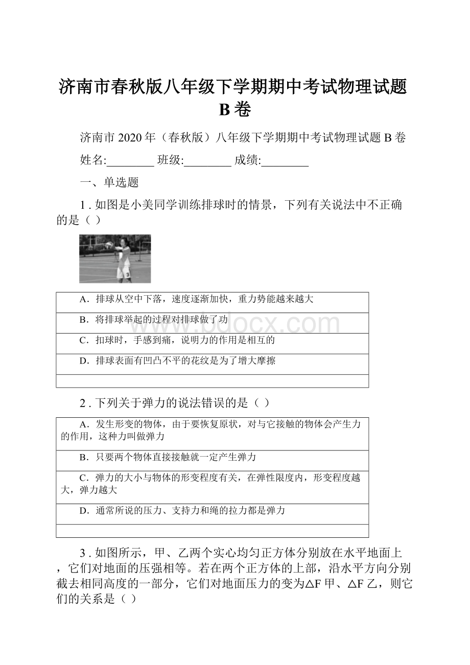 济南市春秋版八年级下学期期中考试物理试题B卷.docx_第1页