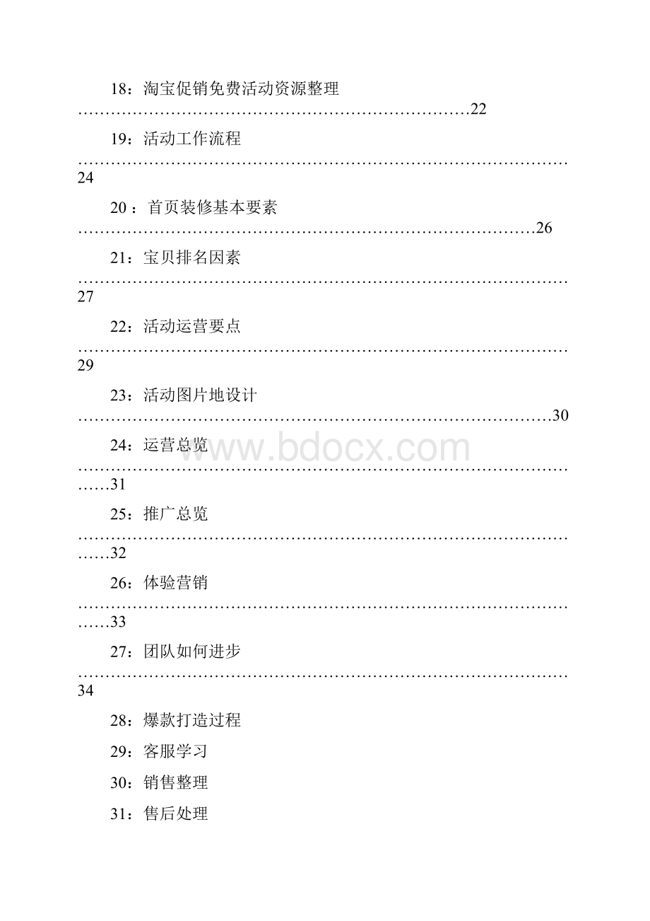 电商运营管理手册文档格式.docx_第3页