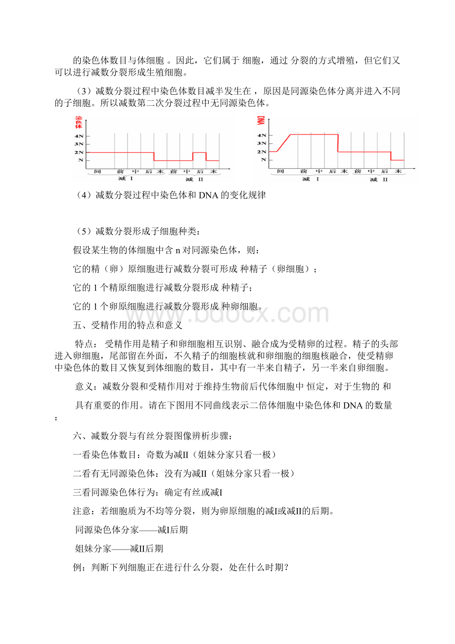 生物必修2复习提纲必修修改Word格式文档下载.docx_第3页