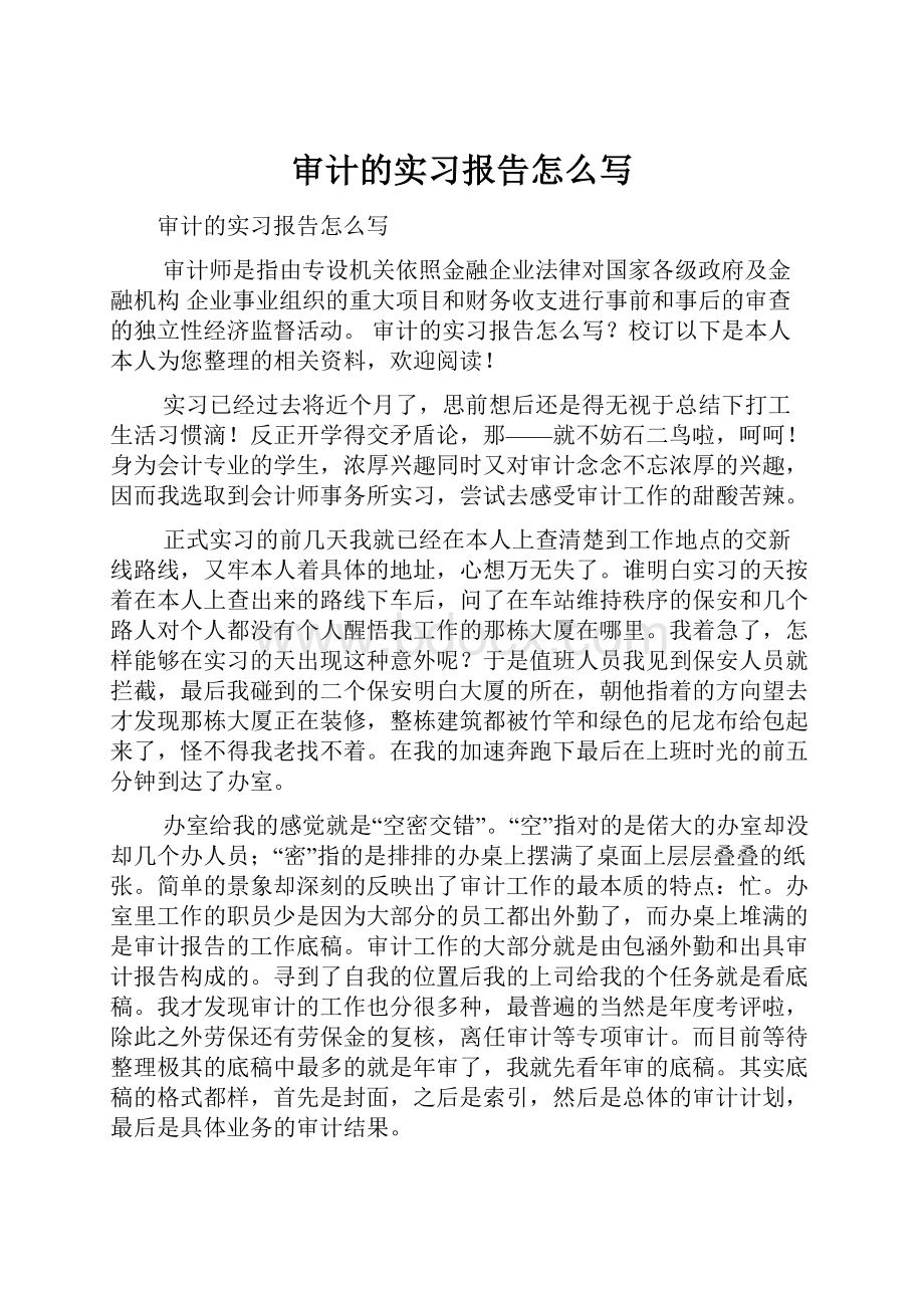 审计的实习报告怎么写Word格式.docx