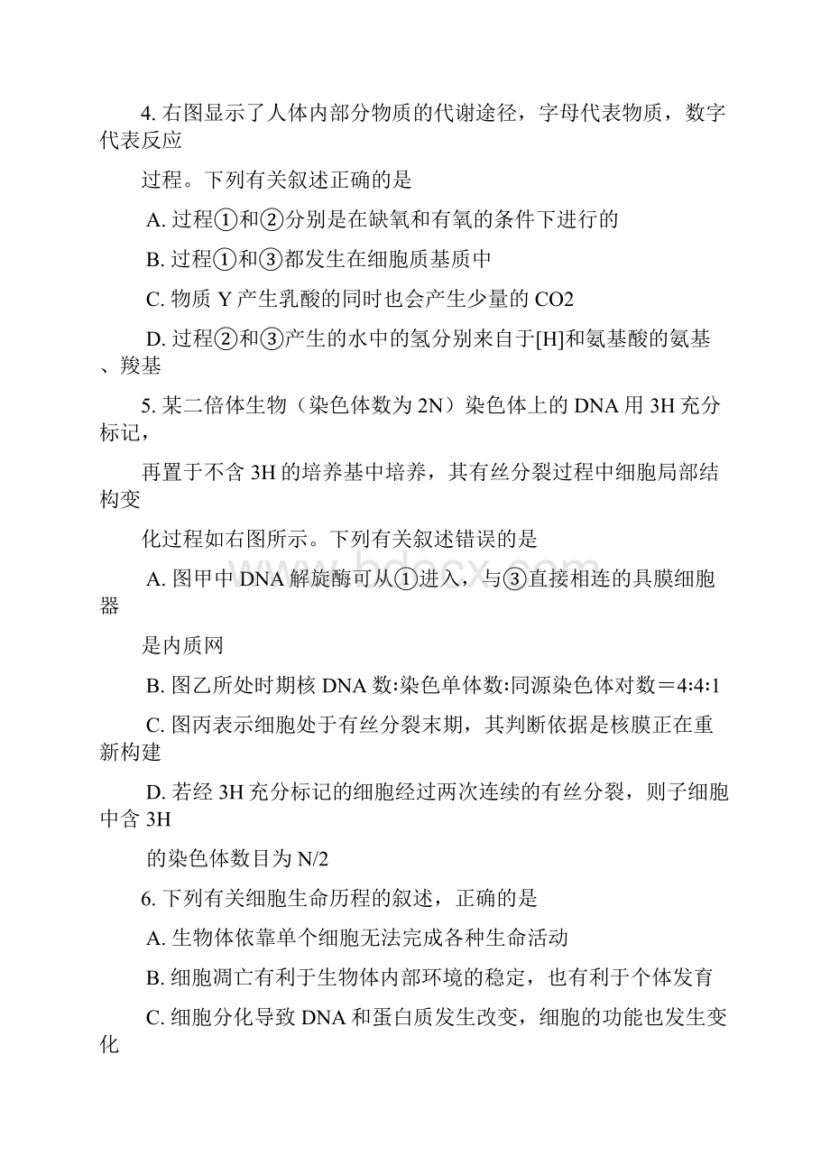 届江苏省南京市盐城市高三第二次模拟考试生物试题及答案Word格式文档下载.docx_第2页