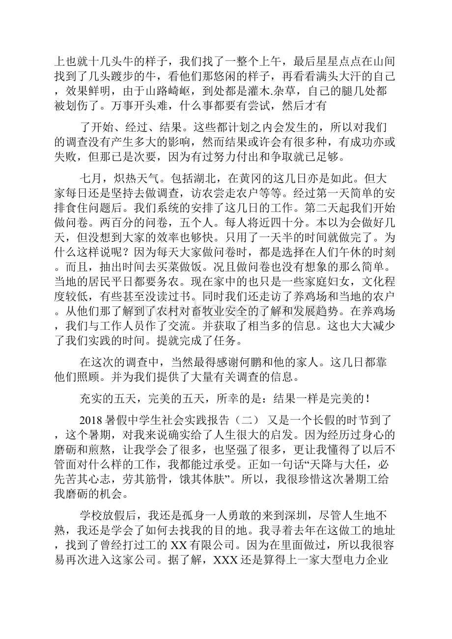 暑假中学生社会实践报告Word下载.docx_第3页