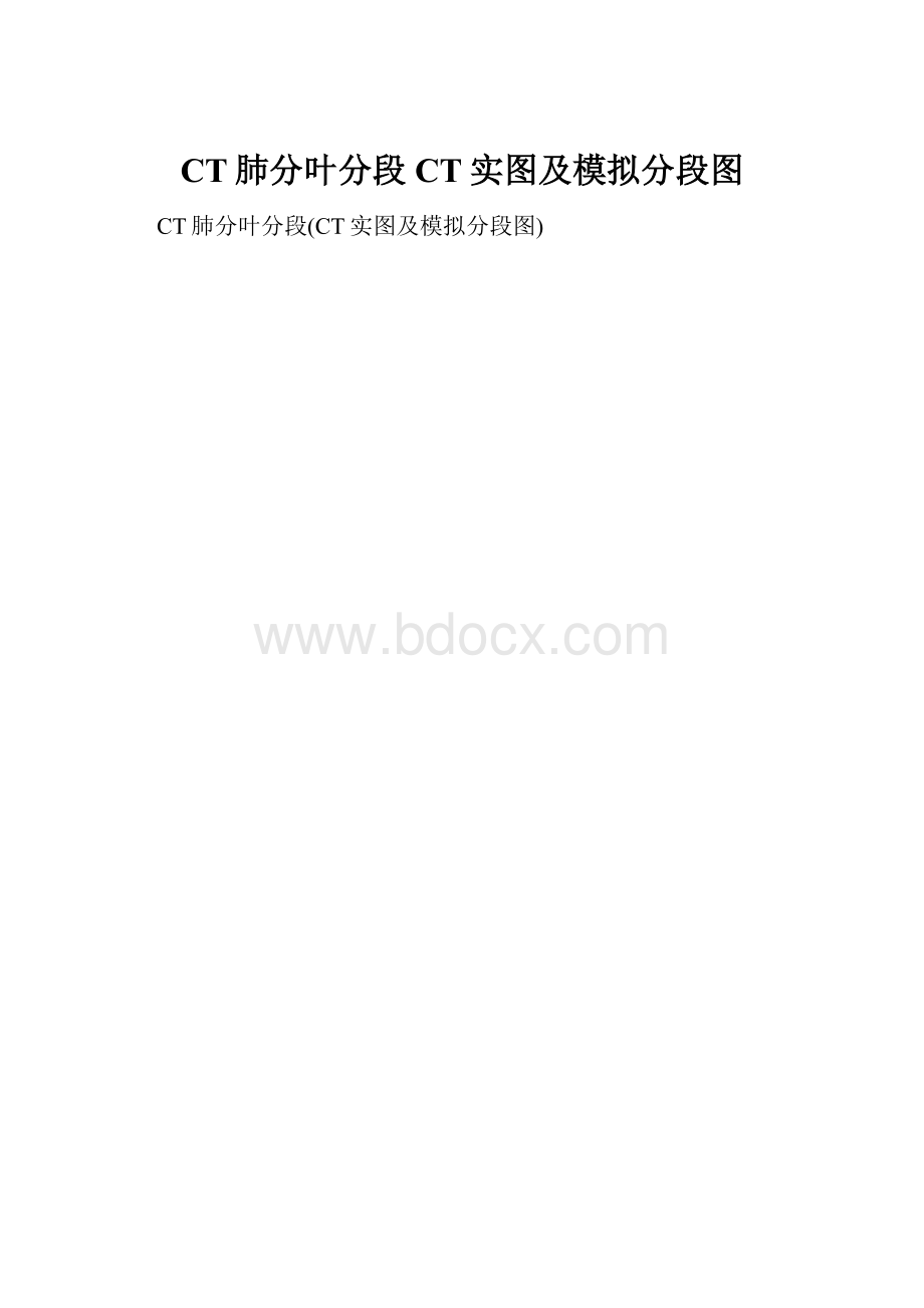 CT肺分叶分段CT实图及模拟分段图.docx