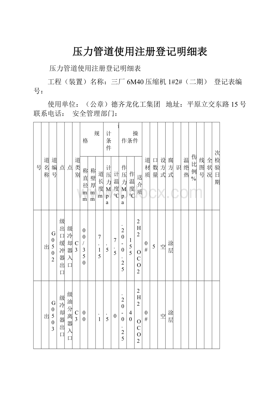 压力管道使用注册登记明细表Word格式.docx