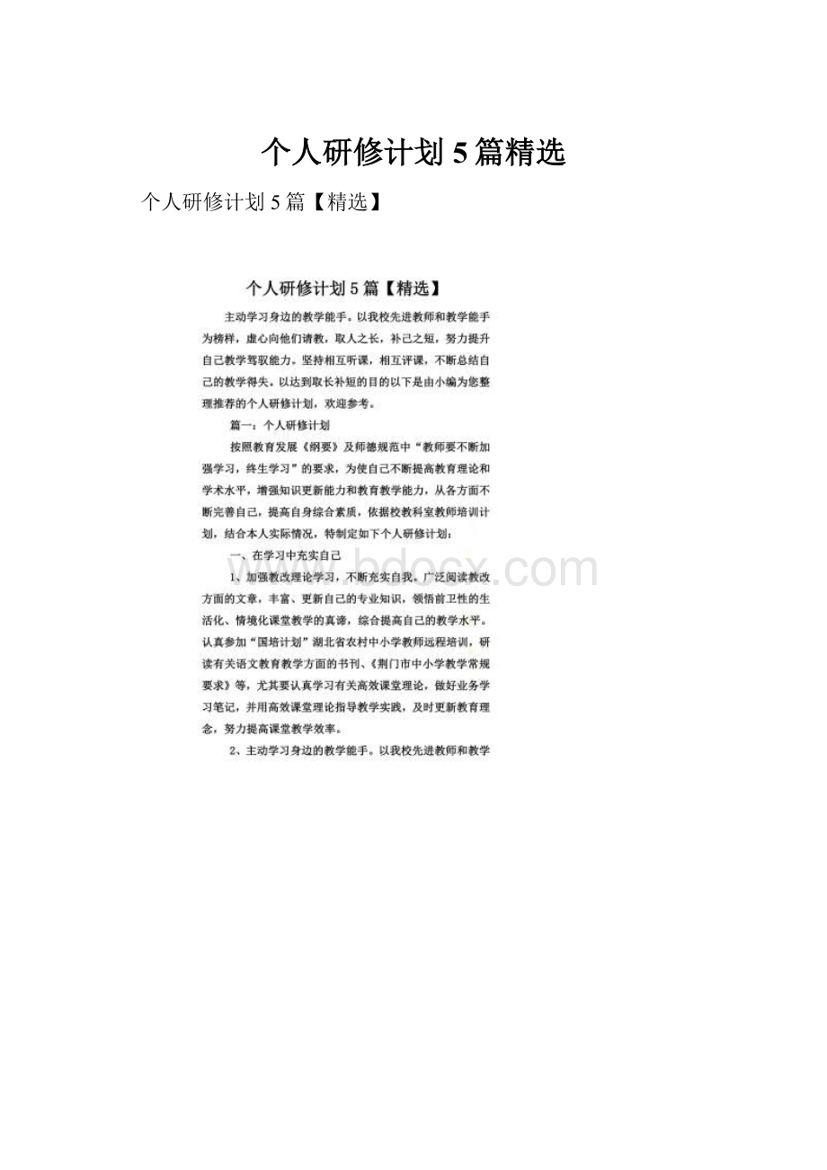 个人研修计划5篇精选.docx