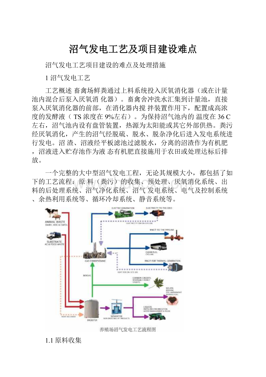 沼气发电工艺及项目建设难点.docx