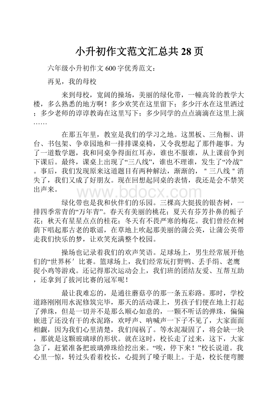 小升初作文范文汇总共28页Word文件下载.docx_第1页