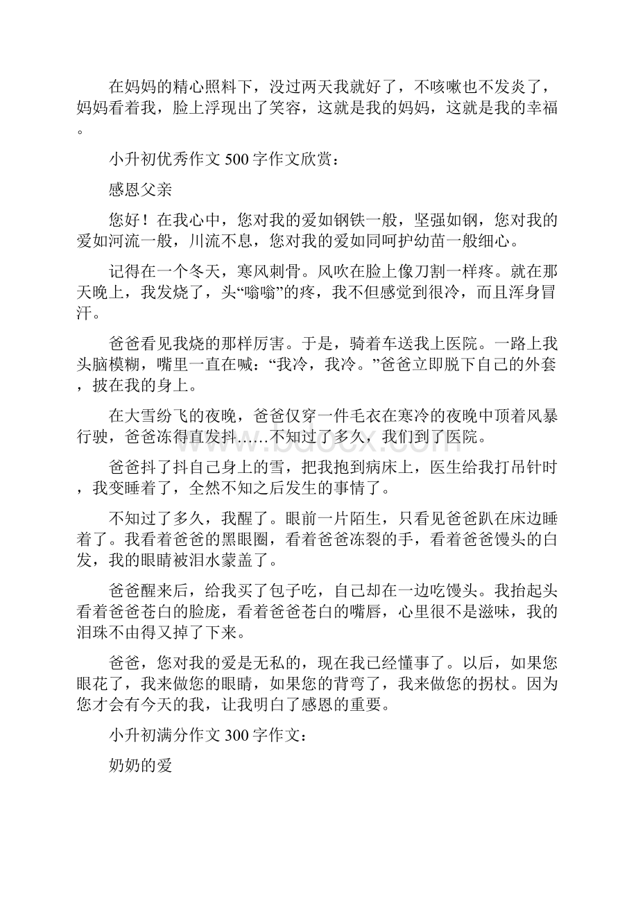 小升初作文范文汇总共28页Word文件下载.docx_第3页