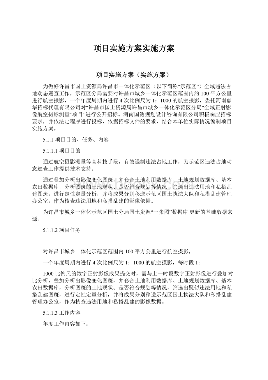 项目实施方案实施方案.docx_第1页