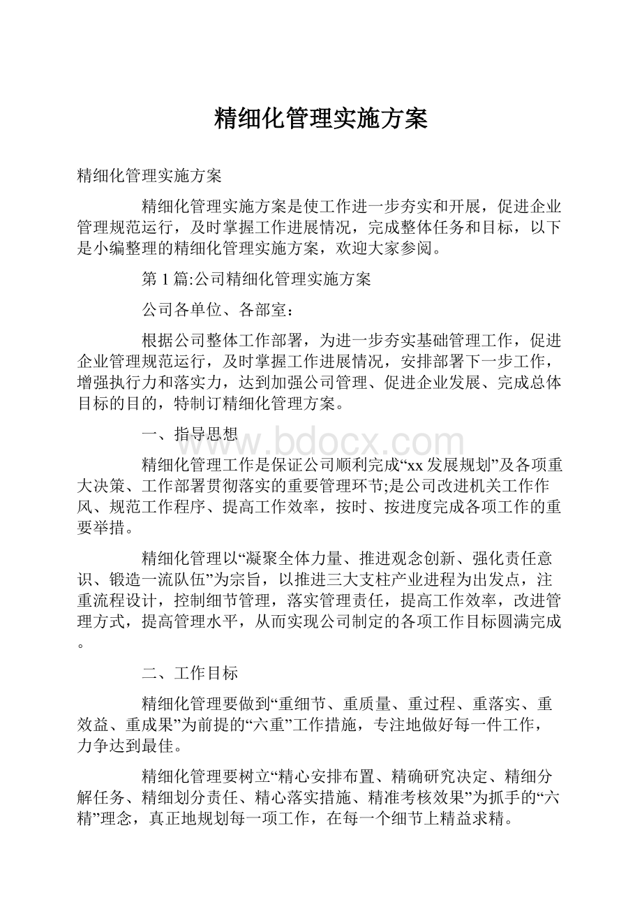 精细化管理实施方案Word文件下载.docx_第1页