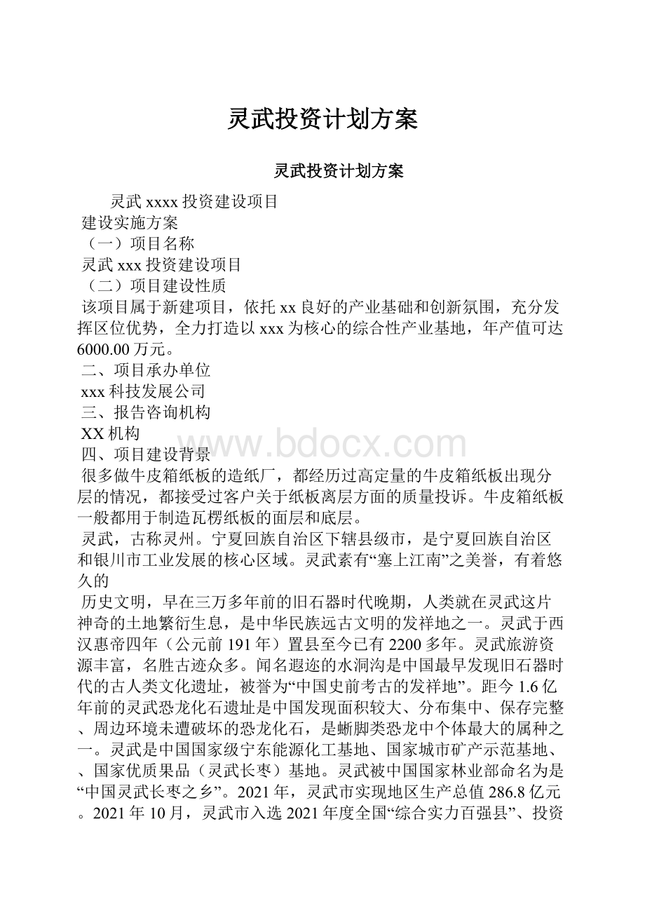 灵武投资计划方案.docx_第1页